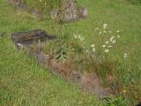 image of grave number 953911